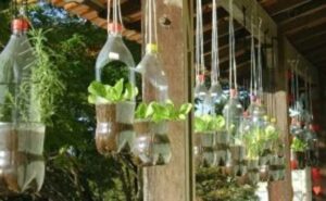 Jardines Verticales con botellas de plastico