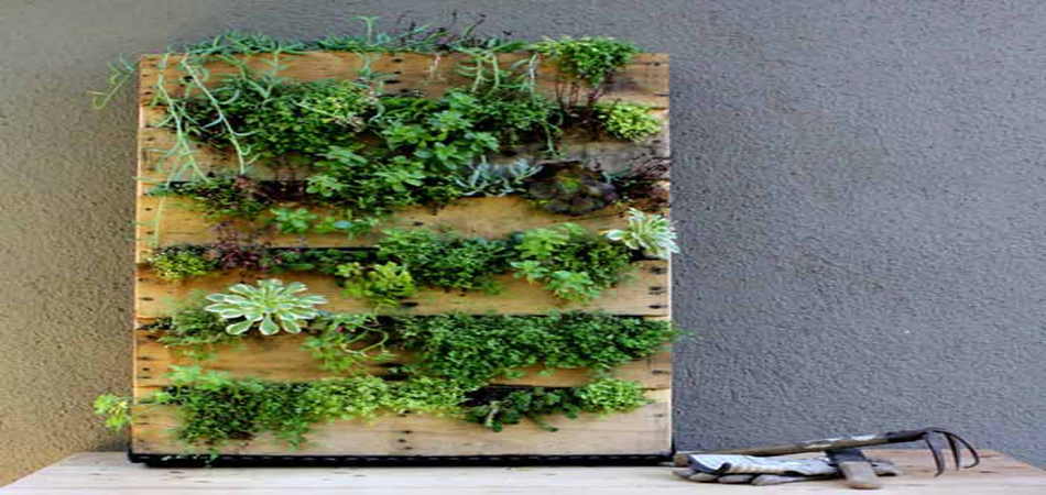 jardin-vertical-plantas